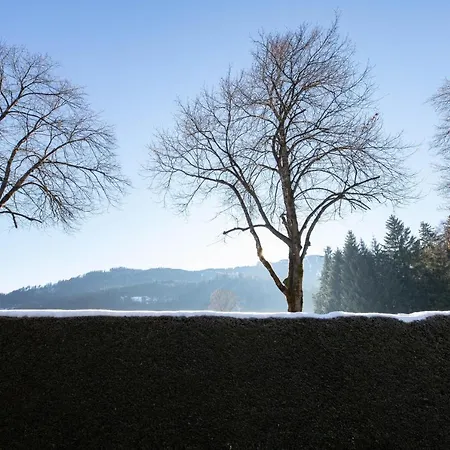 Kreuzeck * Garmisch-Partenkirchen